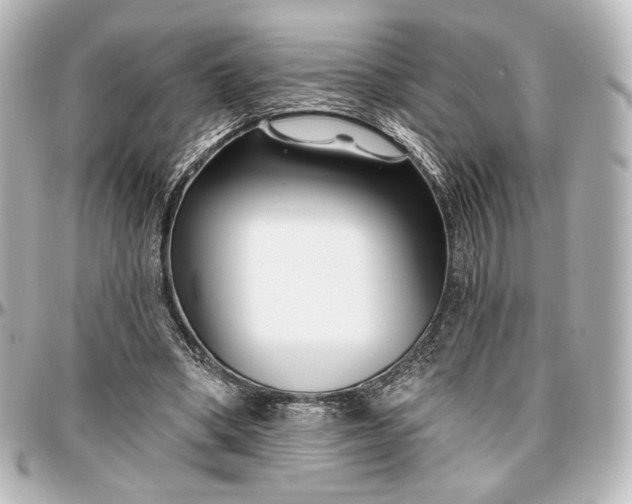 X0000097290394200802221317