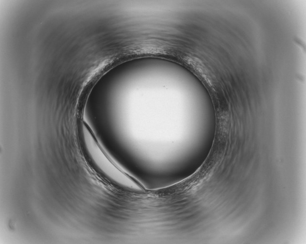 X0000097290395200802221316