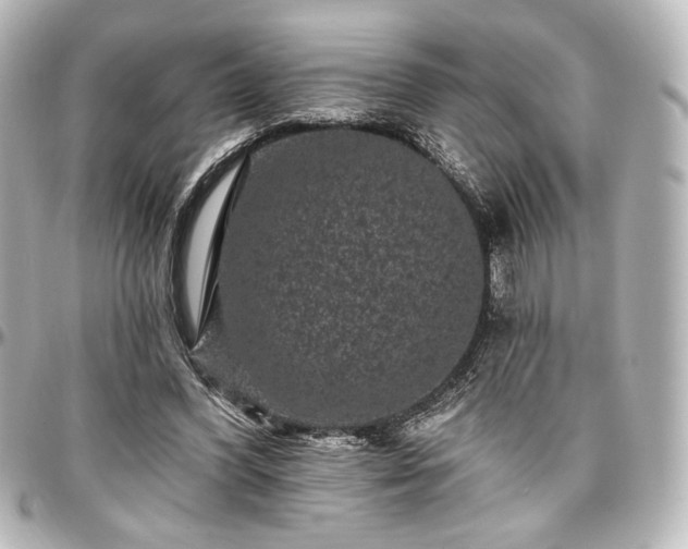 X0000097290396200802221316
