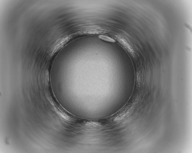 X0000097290397200802221316