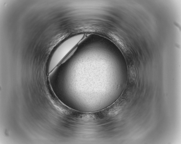 X0000097290398200802221316