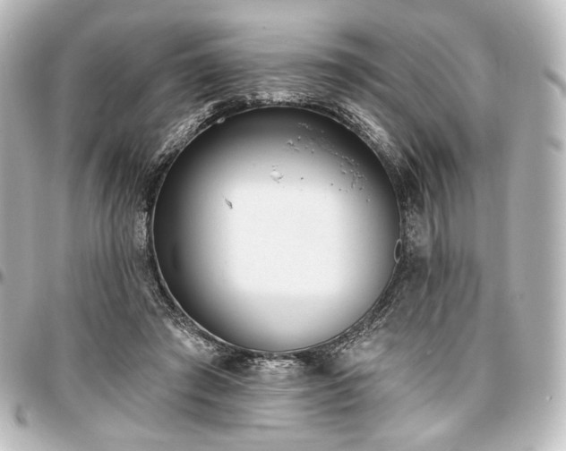 X0000097290401200802221316