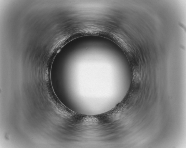 X0000097290403200802221316