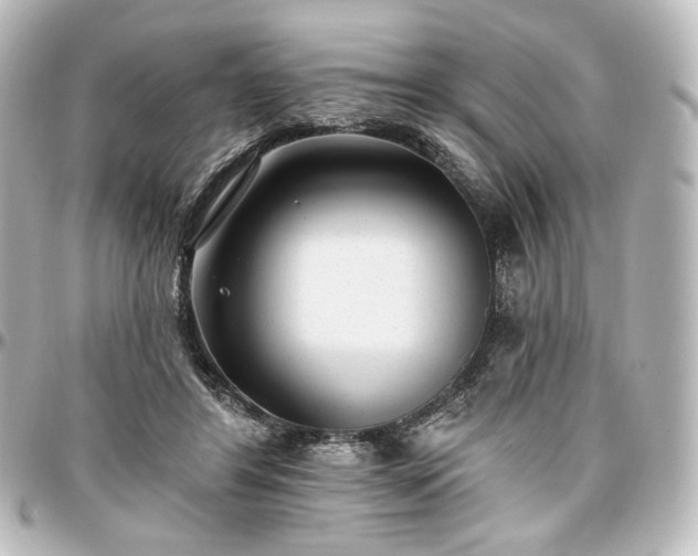 X0000097290404200802221316