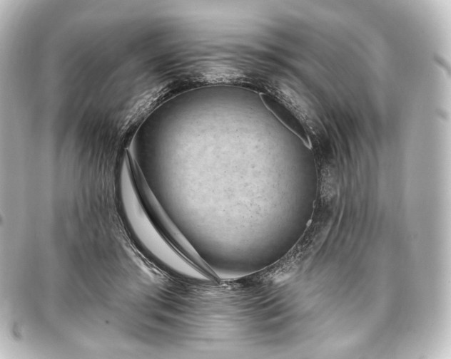 X0000097290405200802221316