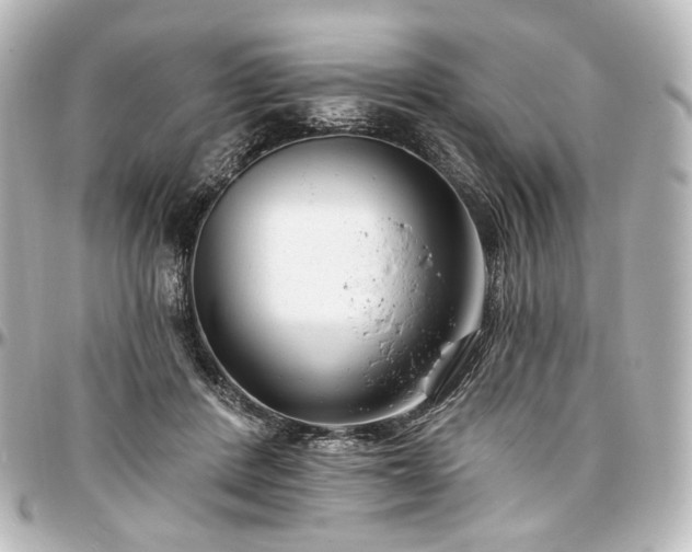 X0000097290408200802221316
