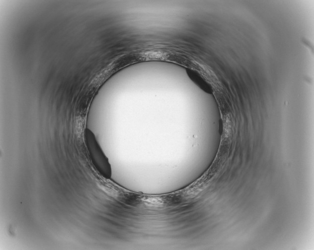 X0000097290409200802221316
