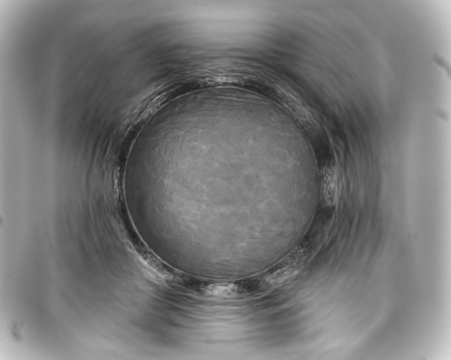 X0000097290410200802221316