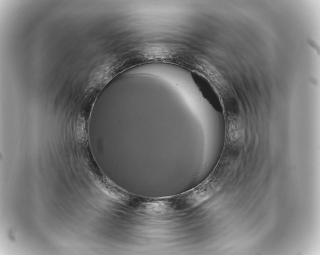 X0000097290411200802221316