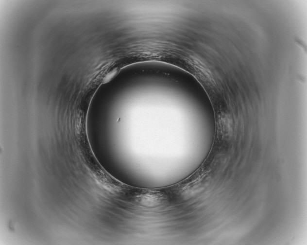 X0000097290412200802221316