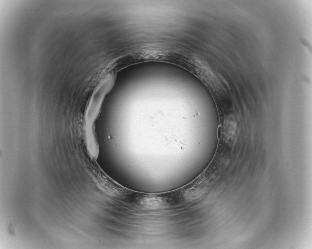 X0000097290413200802221316