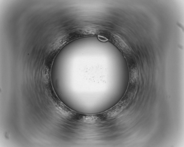 X0000097290414200802221316
