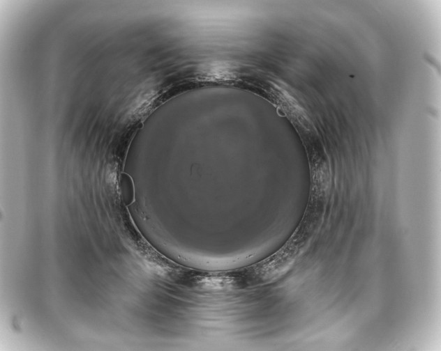 X0000097290415200802221316