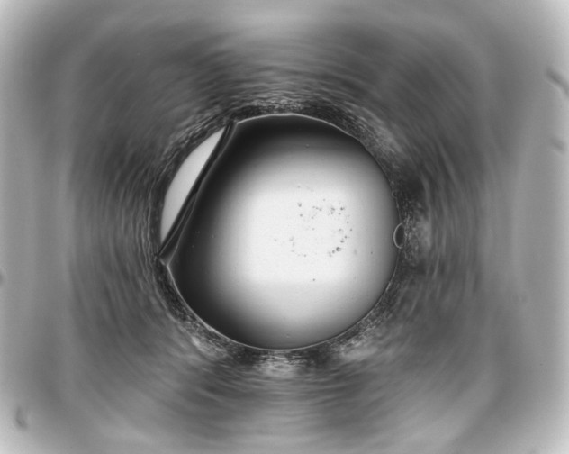 X0000097290416200802221316