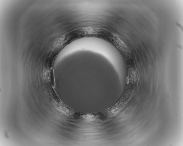 X0000097290419200802221316