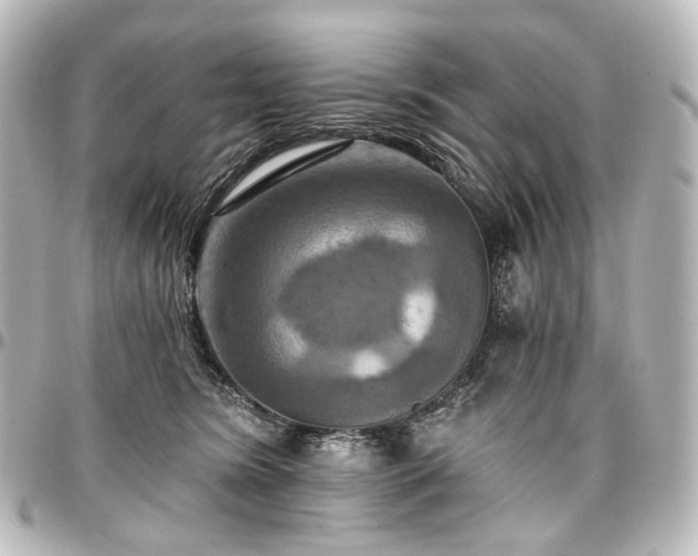 X0000097290420200802221316