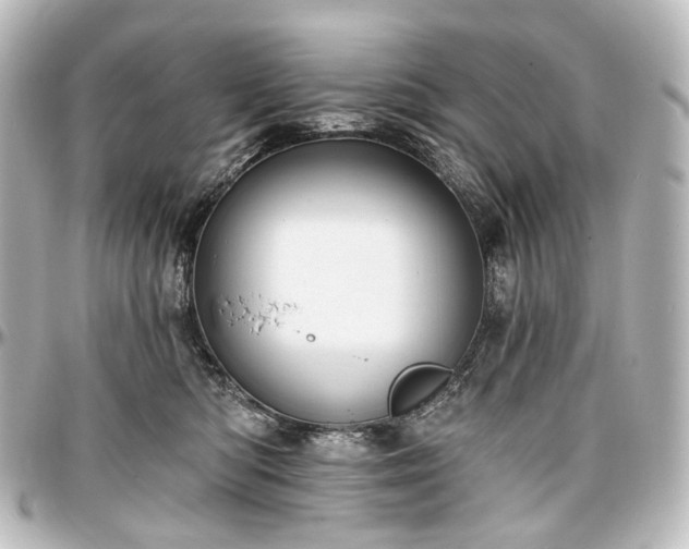 X0000097290422200802221316