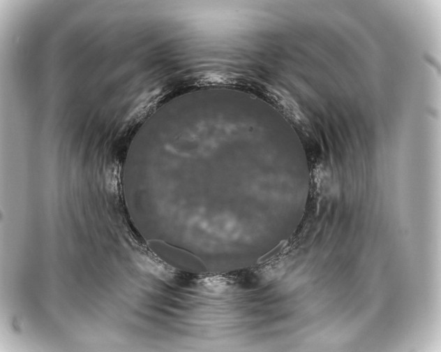X0000097290423200802221316