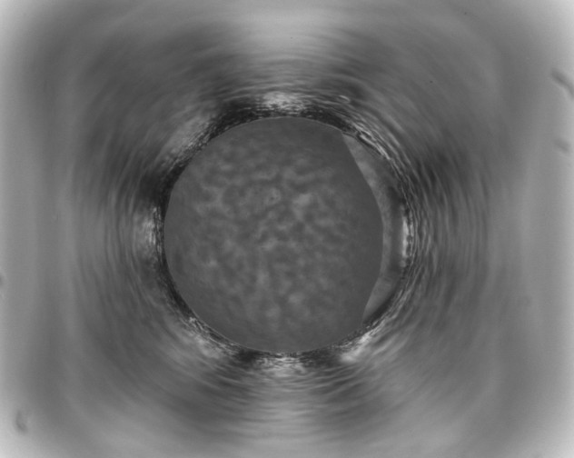 X0000097290424200802221316