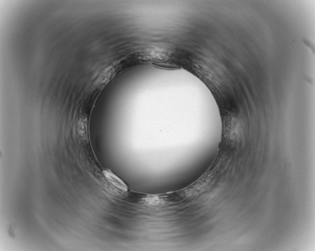 X0000097290425200802221316