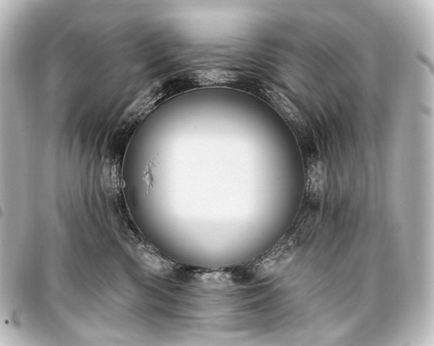 X0000097290426200802221316