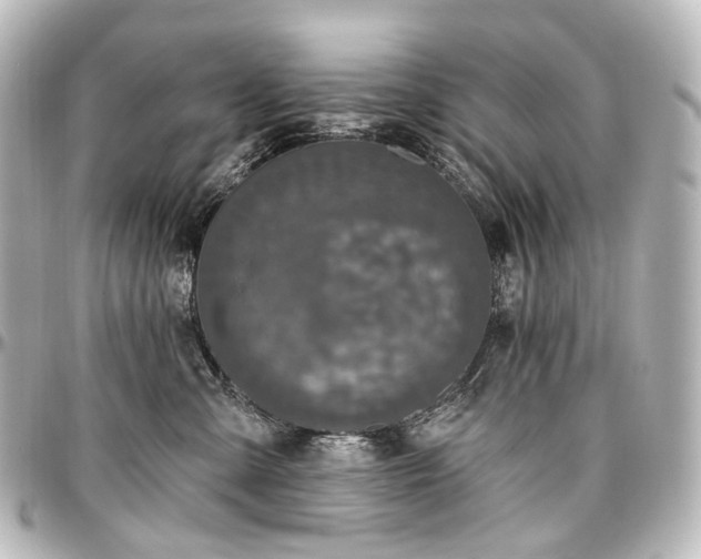 X0000097290427200802221316
