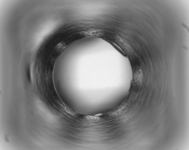 X0000097290429200802221316