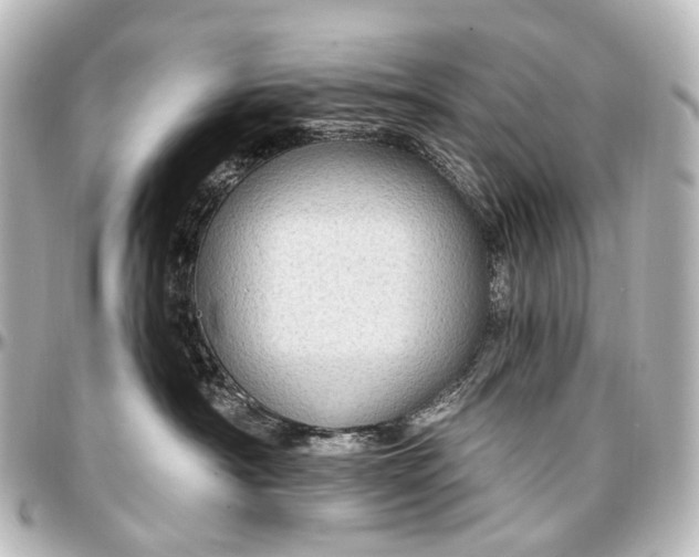 X0000097290430200802221316