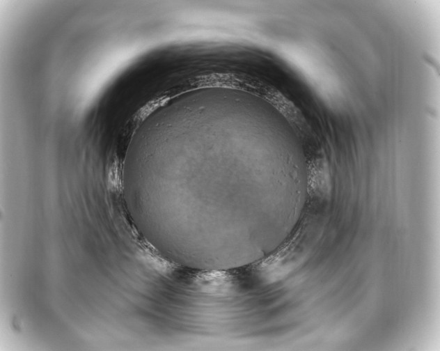 X0000097290431200802221316