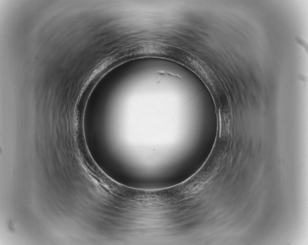 X0000097290435200802221315