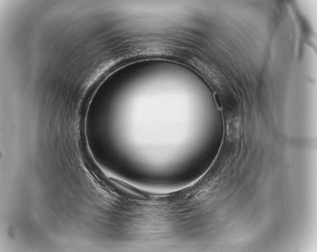 X0000097290436200802221315