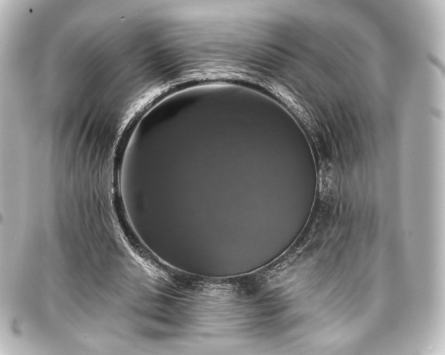 X0000097290438200802221315