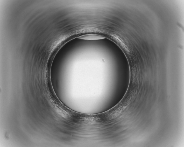 X0000097290439200802221315