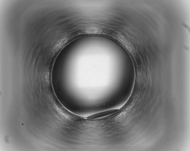 X0000097290441200802221315