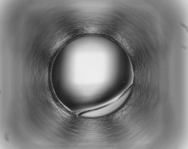 X0000097290442200802221315