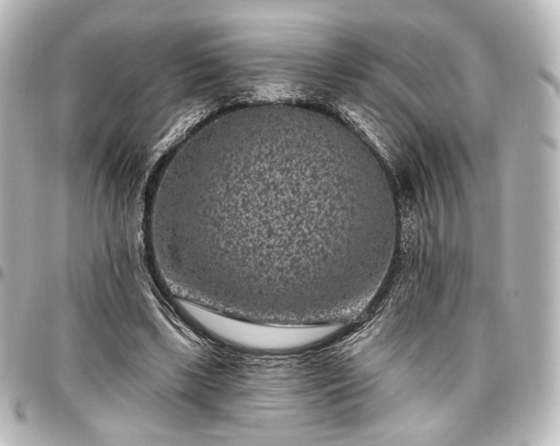 X0000097290443200802221315