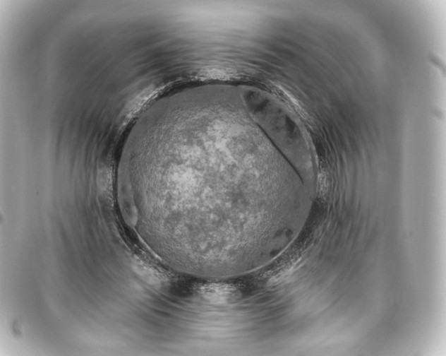 X0000097290444200802221315
