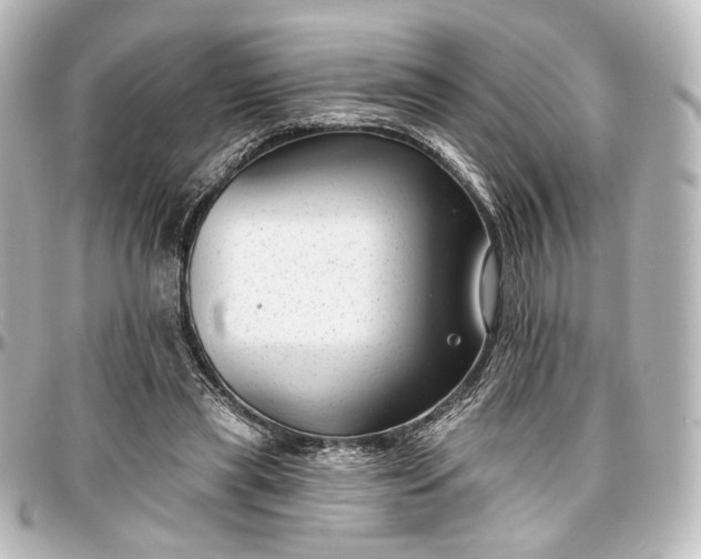 X0000097290445200802221316