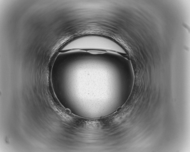 X0000097290446200802221316