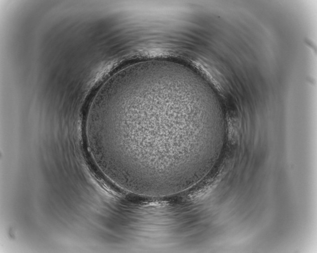 X0000097290447200802221316