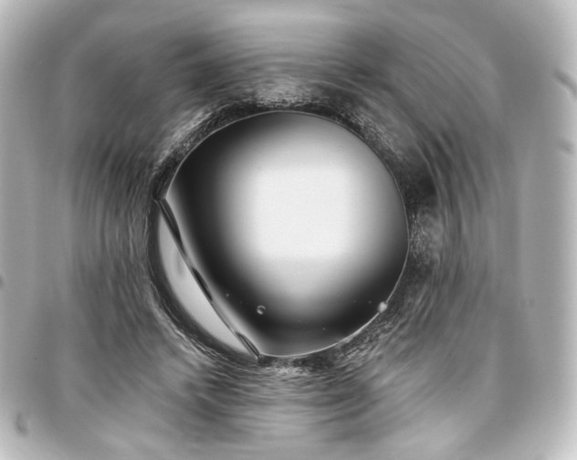X0000097290448200802221316