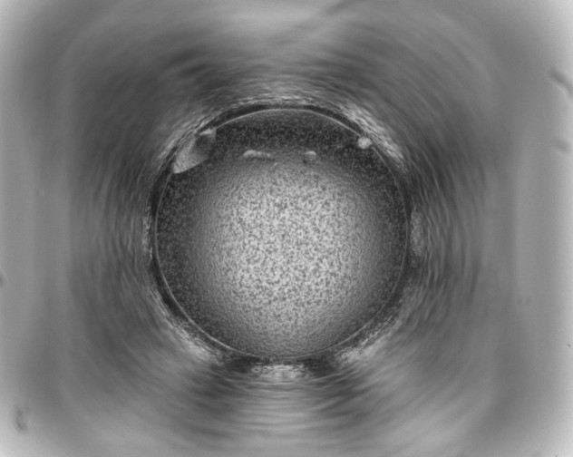 X0000097290449200802221316