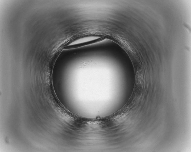 X0000097290450200802221316