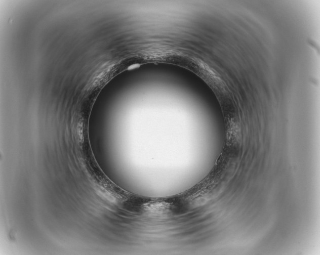 X0000097290452200802221316