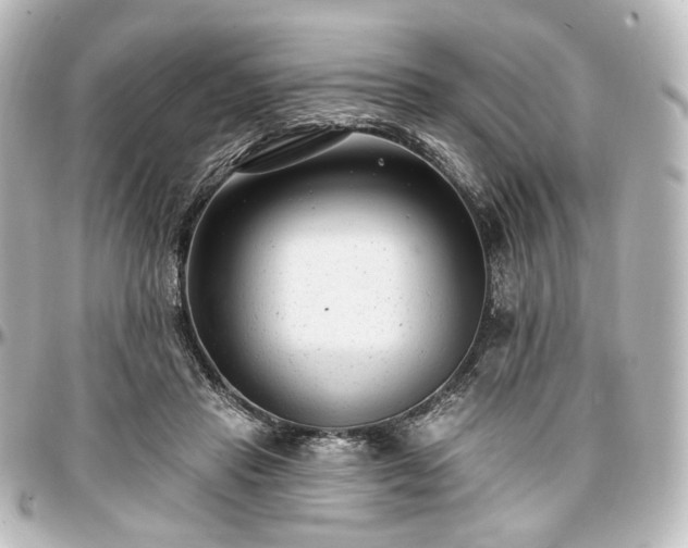 X0000097290453200802221316