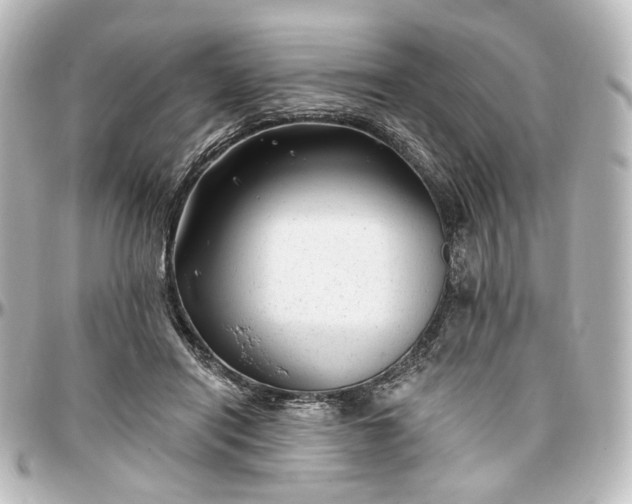 X0000097290454200802221316