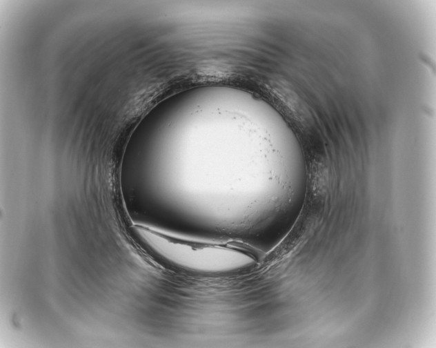 X0000097290455200802221316