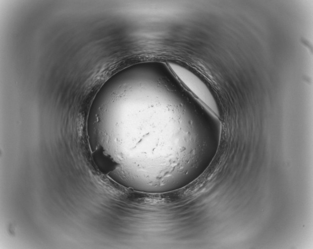 X0000097290458200802221316