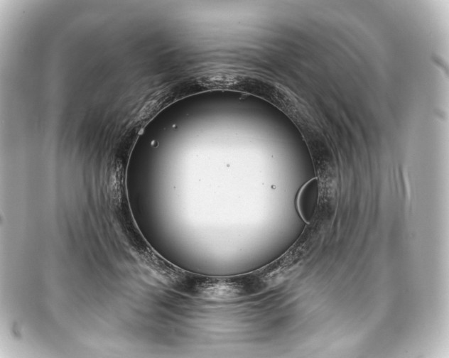 X0000097290460200802221316
