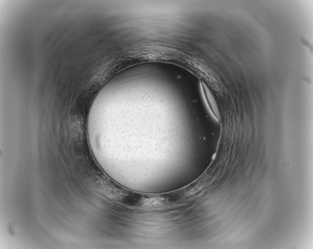 X0000097290461200802221316